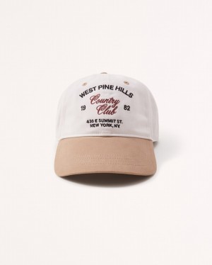 Abercrombie Embroidered Graphic Baseball Hatt Herr Vita Bruna | 3604-PAXRE