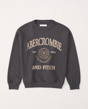 Abercrombie Logo Graphic Crew Tröjor Pojke MörkGrå | 7986-SLDVW