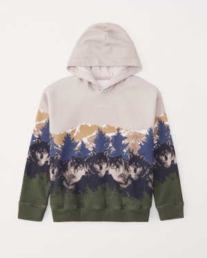 Abercrombie Logo Graphic Popover Hoodie Pojke Grädde | 6312-GWJSP