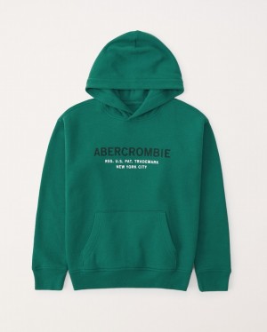 Abercrombie Logo Popover Hoodie Pojke Gröna | 9356-TAEOL