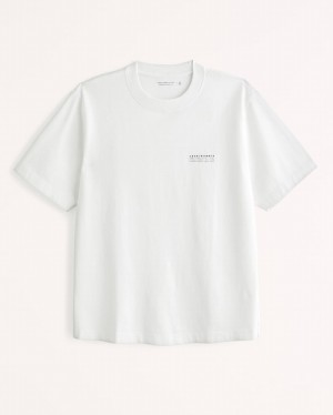 Abercrombie Premium Polished Micro-logo T-shirt Herr Vita | 5738-MKTNV