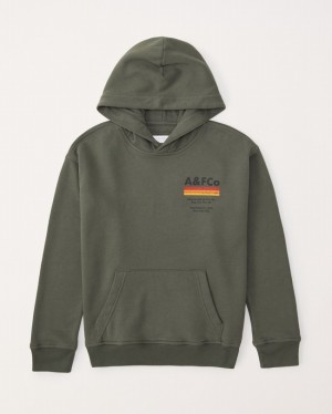 Abercrombie Print Graphic Logo Popover Hoodie Pojke Olivgröna | 6802-OTSKH