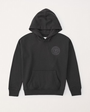 Abercrombie Print Logo Popover Hoodie Pojke MörkGrå | 9834-MSVEF