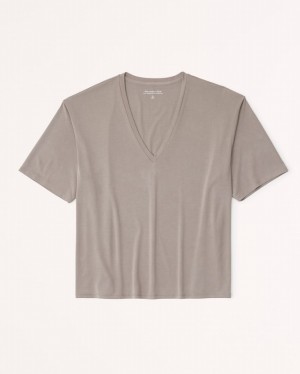 Abercrombie Sandwash V-neck T-shirt Dam Grå Bruna | 4237-YTDQE