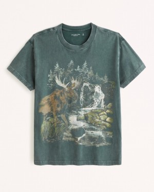 Abercrombie Wildlife Graphic T-shirt Herr Gröna Tvätt | 6923-ZVAFS