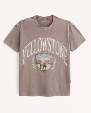 Abercrombie Yellowstone Graphic T-shirt Herr LjusBruna | 9302-SHEAC