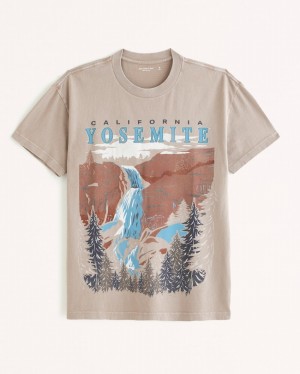 Abercrombie Yosemite Graphic T-shirt Herr LjusBruna | 6714-EJFBA