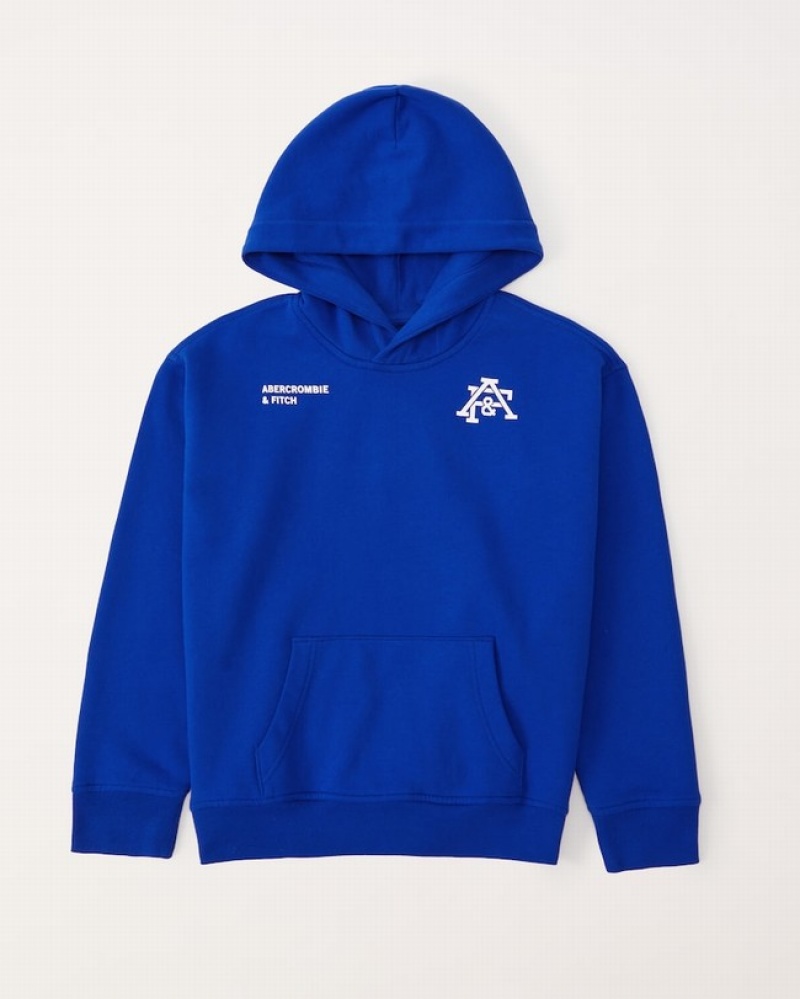 Abercrombie Logo Popover Hoodie Pojke Blå  | 7196-GBYUC