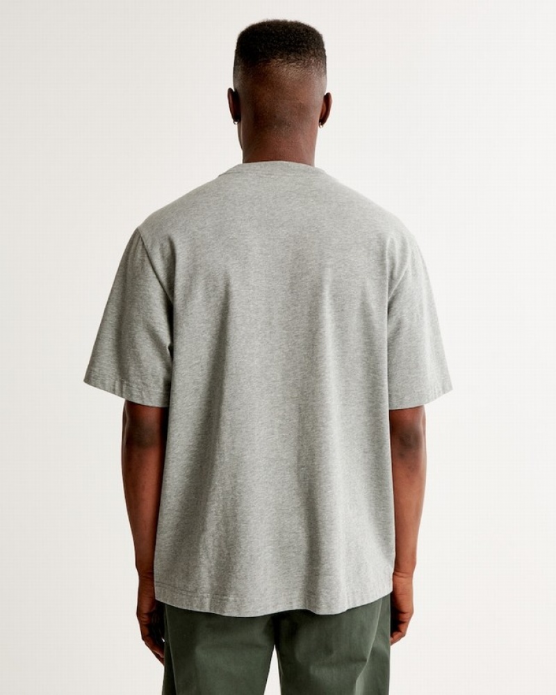 Abercrombie Premium Polished T-shirt Herr Grå  | 9563-ZVYXS