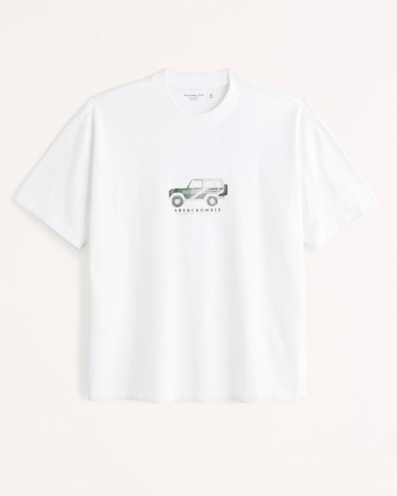 Abercrombie Print Graphic Logo T-shirt Herr Vita  | 0519-BRLGC