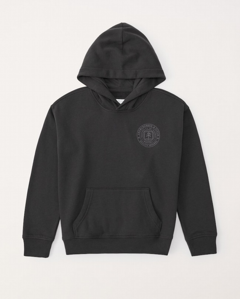 Abercrombie Print Logo Popover Hoodie Pojke MörkGrå  | 9834-MSVEF