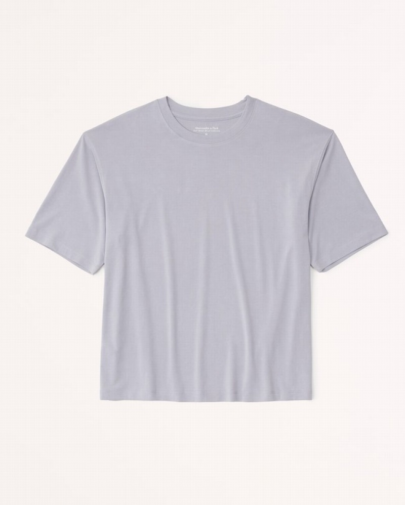 Abercrombie Sandwash Easy T-shirt Dam Grå  | 6318-ULWJT