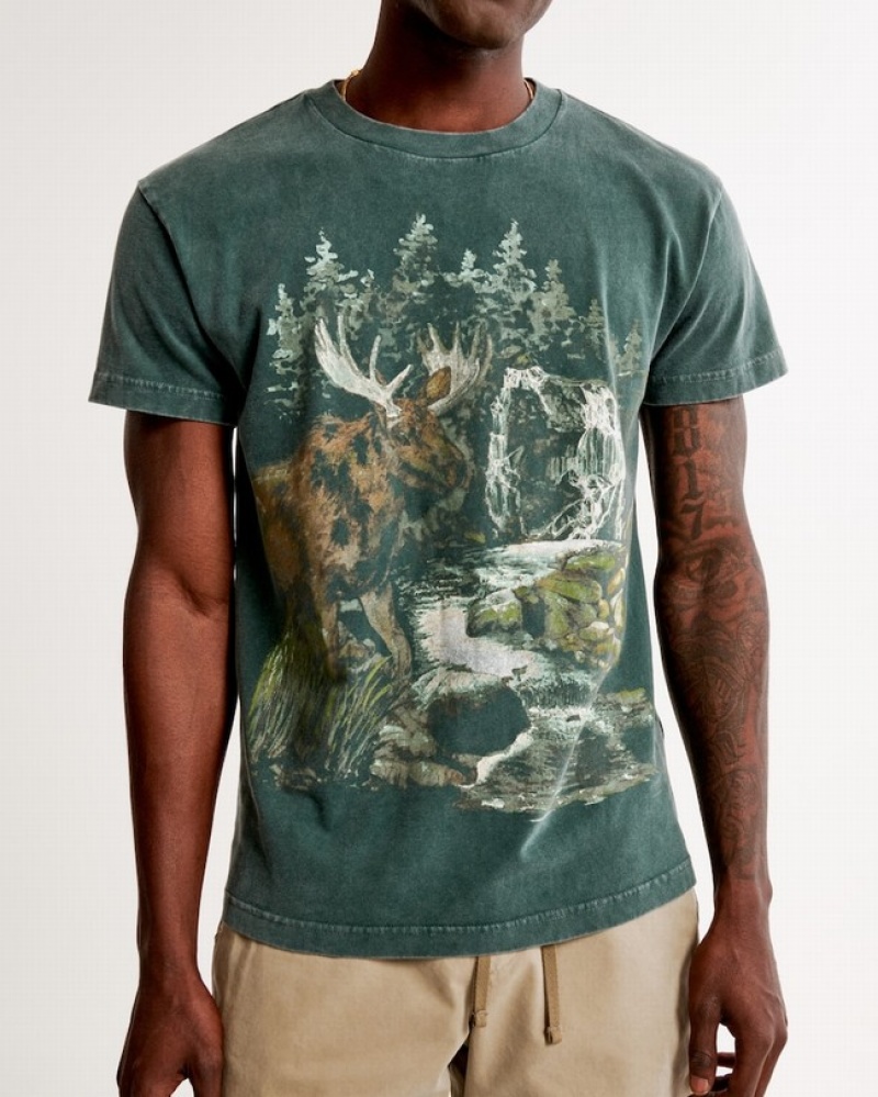 Abercrombie Wildlife Graphic T-shirt Herr Gröna Tvätt  | 6923-ZVAFS