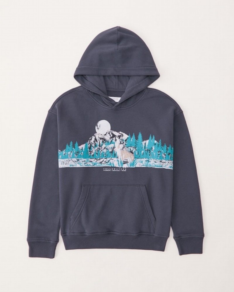 Abercrombie Yellowstone Graphic Popover Hoodie Pojke Marinblå  | 2349-UPCYW