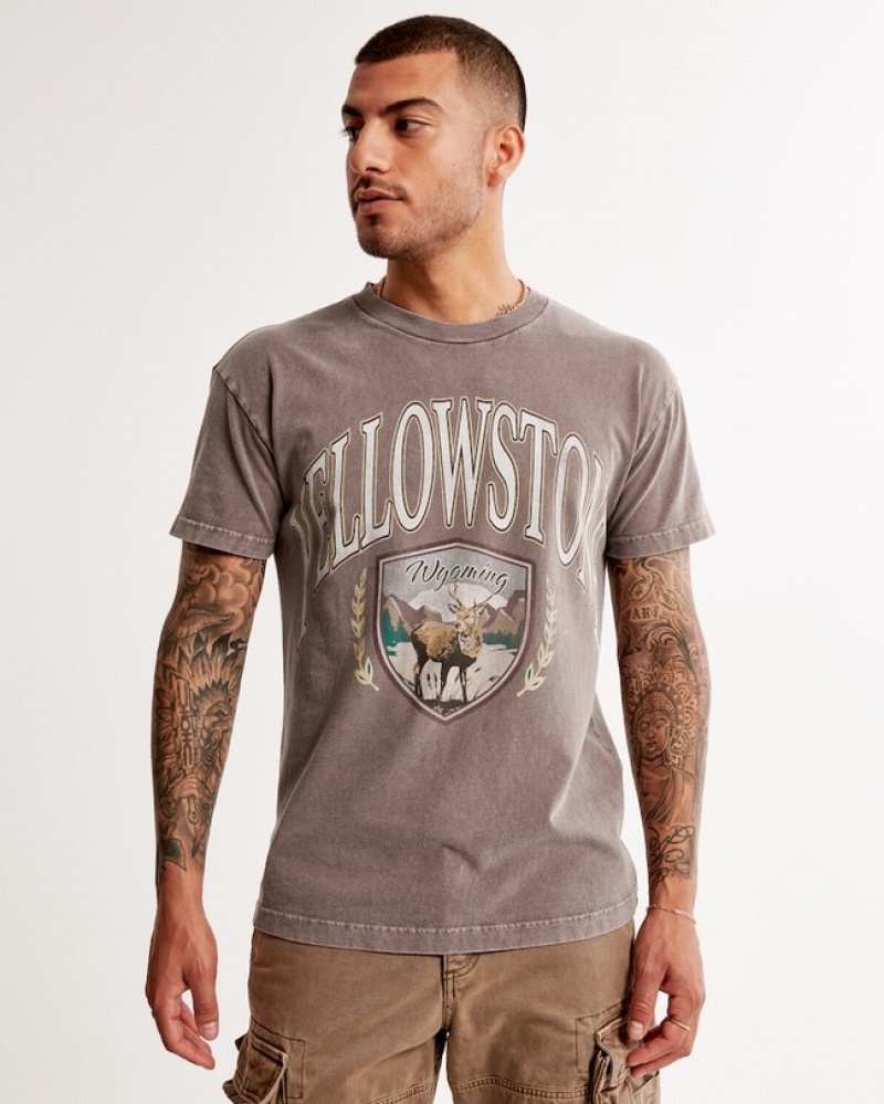 Abercrombie Yellowstone Graphic T-shirt Herr LjusBruna  | 9302-SHEAC