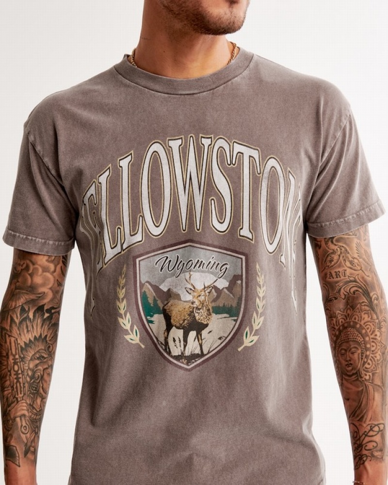 Abercrombie Yellowstone Graphic T-shirt Herr LjusBruna  | 9302-SHEAC